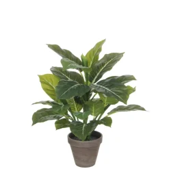 Evergreen kunstig plante grønn grå med potte 49 cm