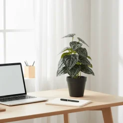 House Nordic kunstig plante med mønstrede blader i sort potte 33 cm