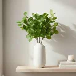 Mr. Plant bøk