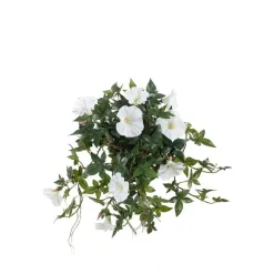 Mr. Plant blomst for dagen