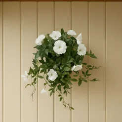 Mr. Plant blomst for dagen