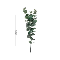 Mr. Plant Eucalyptus 60 cm