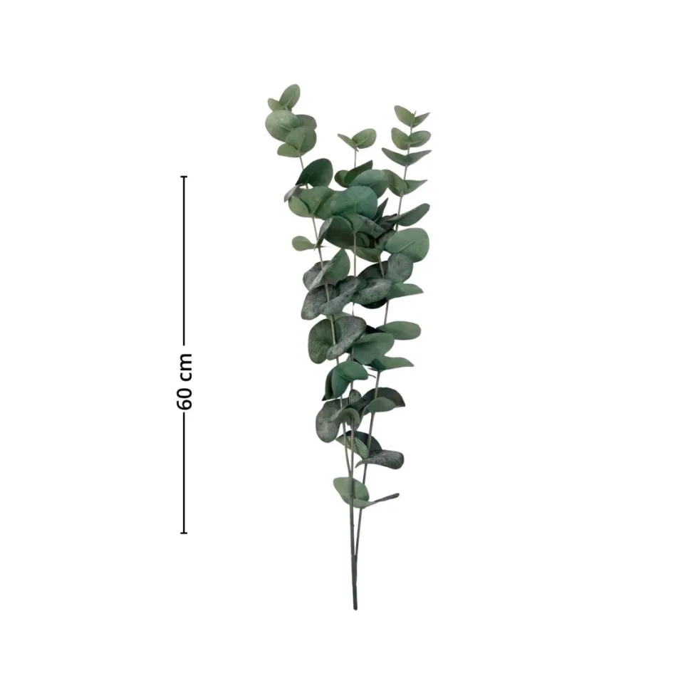 Mr. Plant Eucalyptus 60 cm