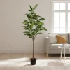 Mr. Plant Fikus Elastica 190 cm