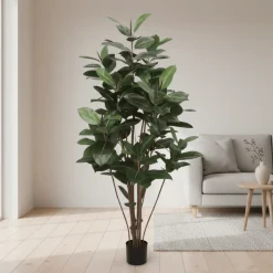 Mr. Plant Fikus Robusta 180 cm