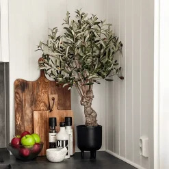Mr. Plant Oliventre 80 cm