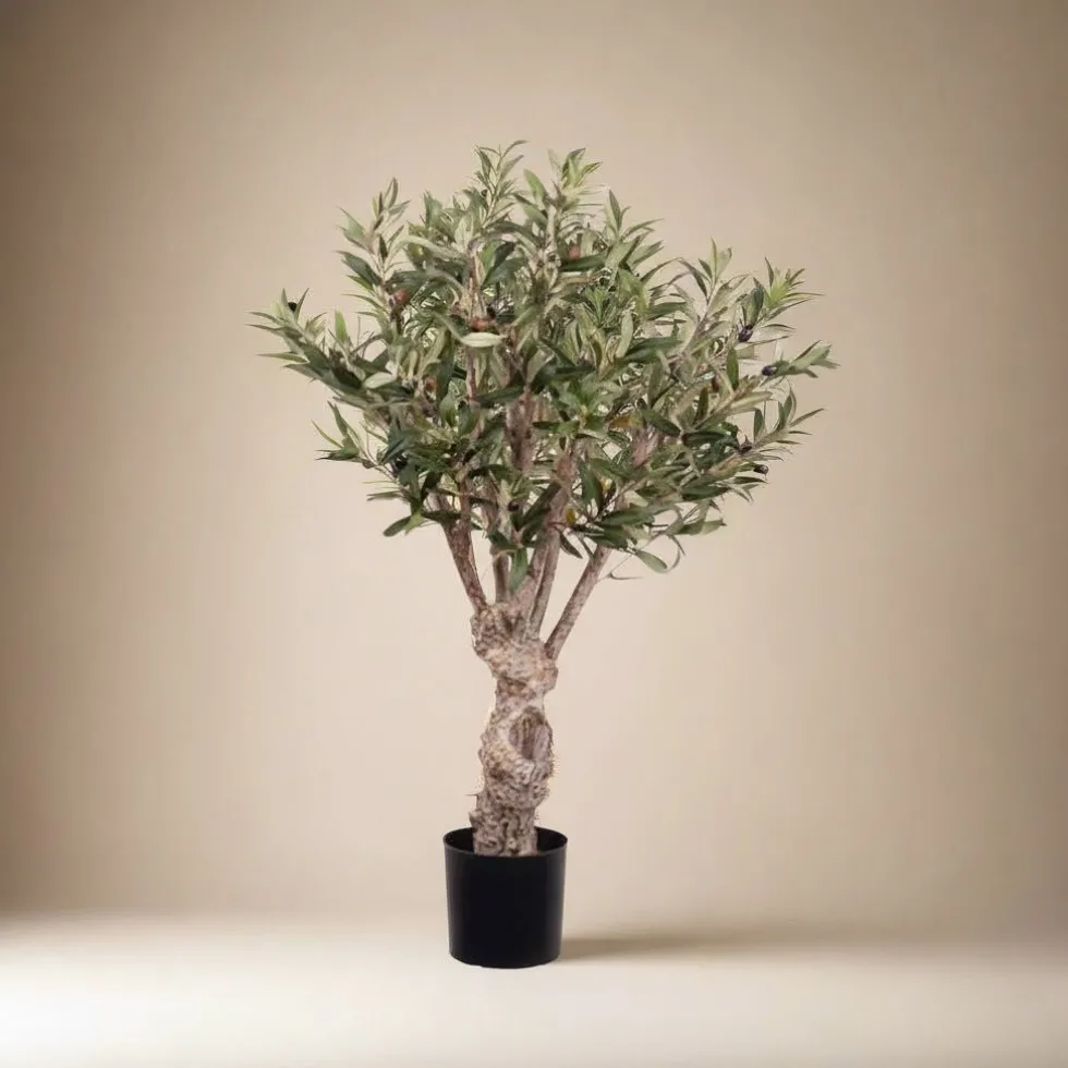 Mr. Plant Oliventre 80 cm