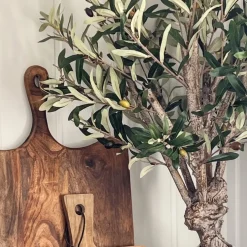 Mr. Plant Oliventre 80 cm