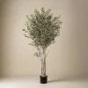 Mr. Plant Oliventre 190 cm