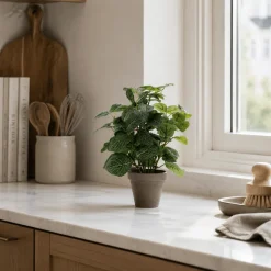 Pilea kunstig plante grønn med potte 35 x 25 cm