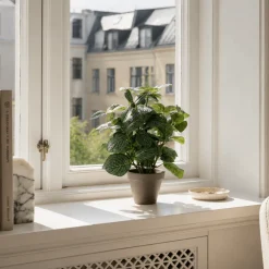 Pilea kunstig plante grønn med potte 35 x 25 cm