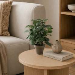 Pilea kunstig plante grønn med potte 35 x 25 cm